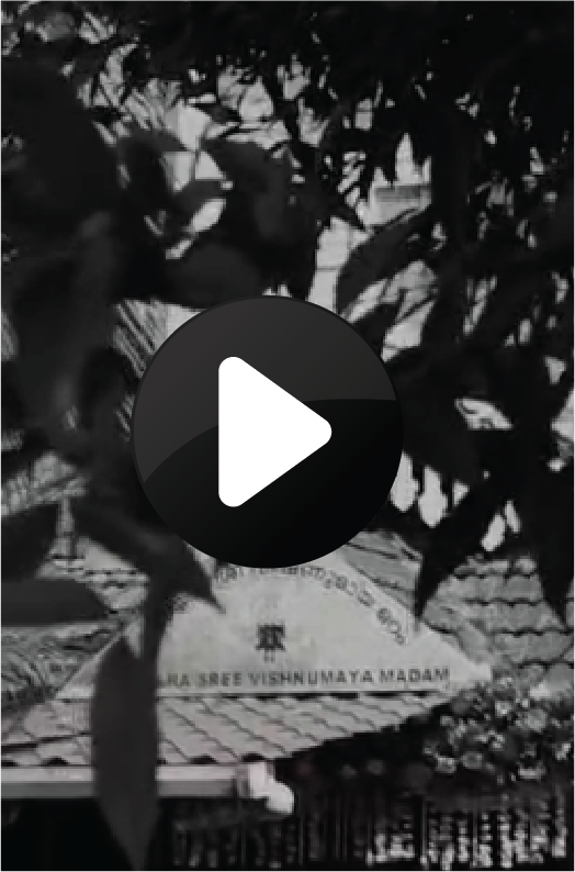 Video 3